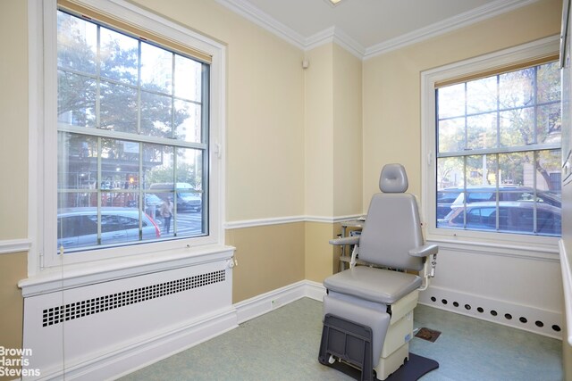 office with crown molding and a skylight