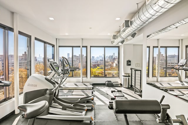 workout area featuring a wealth of natural light