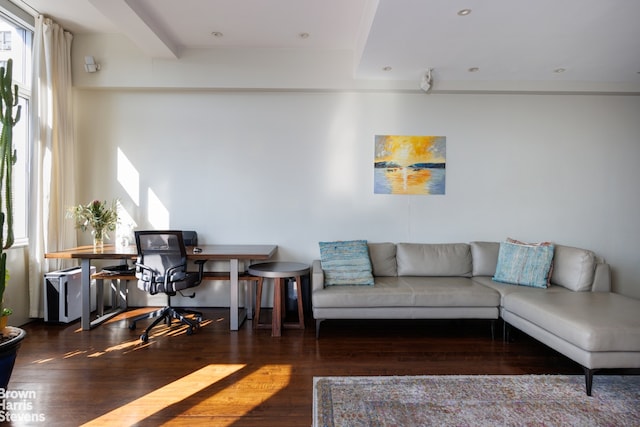 living room featuring dark hardwood / wood-style floors