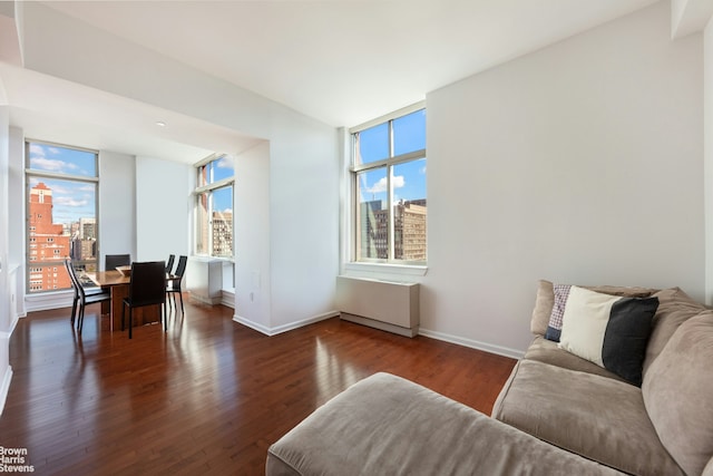 living area featuring plenty of natural light, baseboards, a city view, and wood finished floors