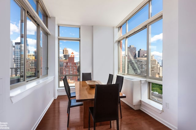 dining space featuring a view of city, plenty of natural light, and wood finished floors