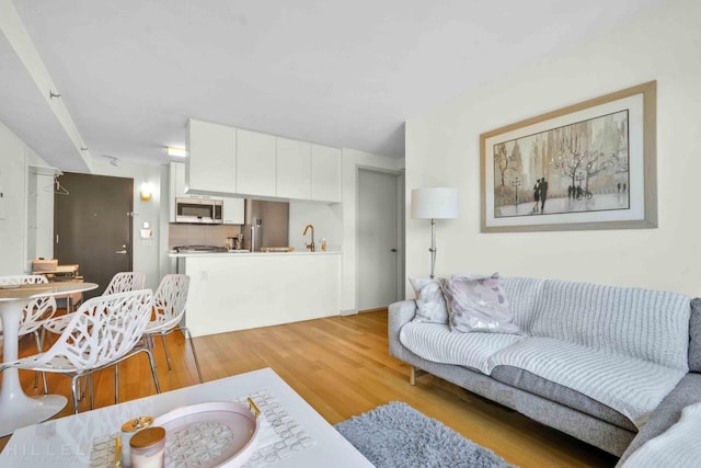 living room featuring light wood-style floors