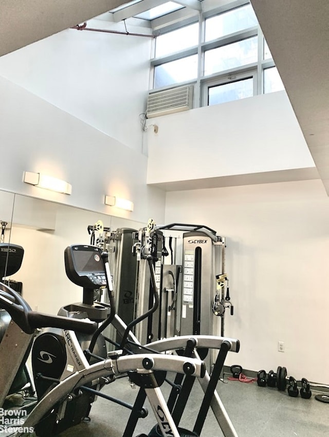 workout area with a towering ceiling