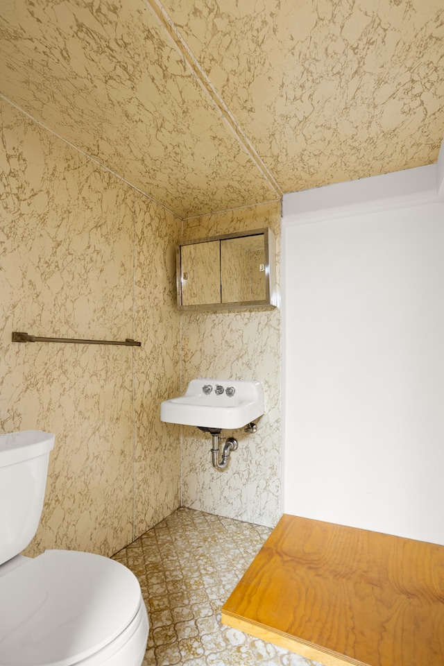 bathroom with vaulted ceiling, a sink, and toilet