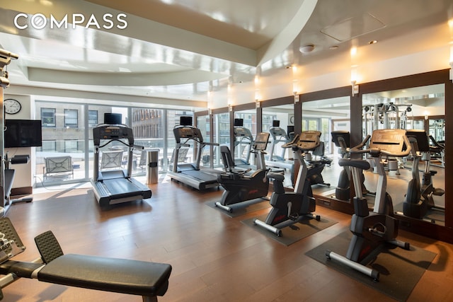gym with a healthy amount of sunlight, a tray ceiling, and wood finished floors