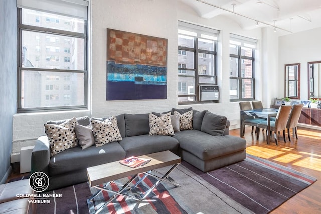 living room featuring rail lighting and hardwood / wood-style flooring