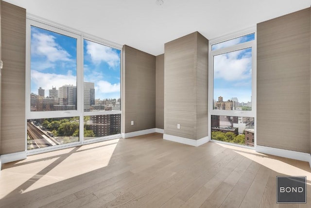 spare room featuring a wall of windows and light wood-type flooring