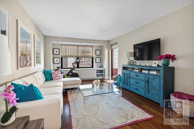 living room featuring dark hardwood / wood-style floors