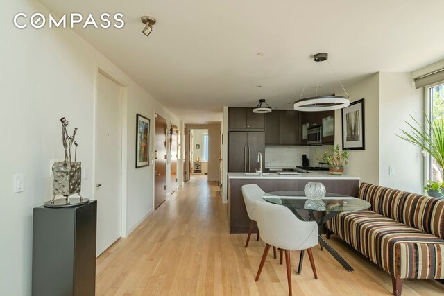 dining area featuring sink and light hardwood / wood-style flooring