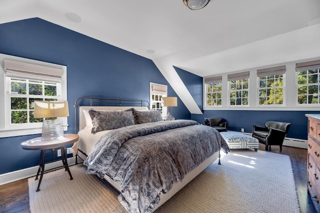 bedroom with multiple windows, lofted ceiling, hardwood / wood-style flooring, and a baseboard radiator