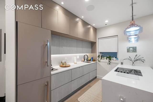 kitchen with black electric stovetop, light countertops, light wood-style flooring, gray cabinets, and a sink