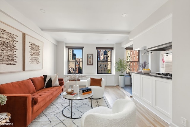 living room featuring light wood-style floors