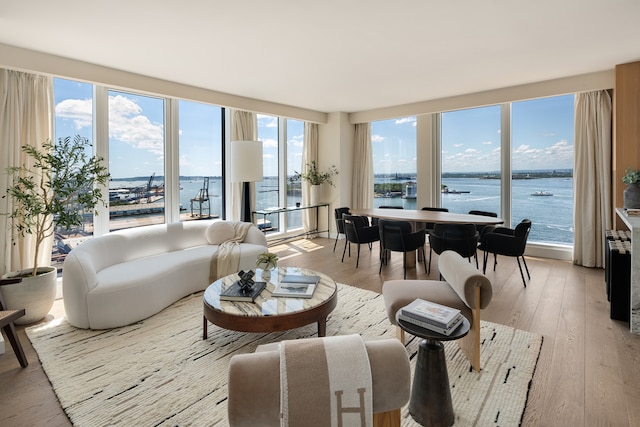 50 Bridge Park Dr Unit 25Ae, New York City, NY 11201 - living area with a water view and light wood-style flooring