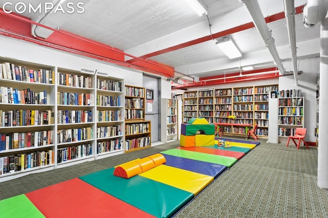 playroom featuring carpet flooring