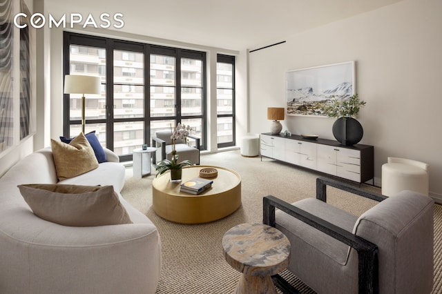 250 W 96th St Unit 8A, New York City, NY 10025 - living room featuring carpet floors