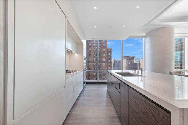 kitchen with a city view, modern cabinets, a sink, wood finished floors, and appliances with stainless steel finishes