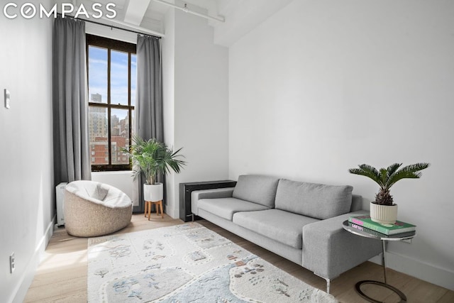 living room featuring wood-type flooring and a wealth of natural light