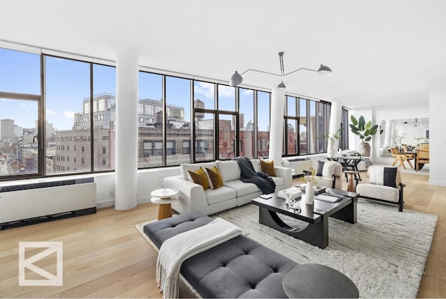 living room featuring light hardwood / wood-style flooring, a wealth of natural light, and radiator heating unit