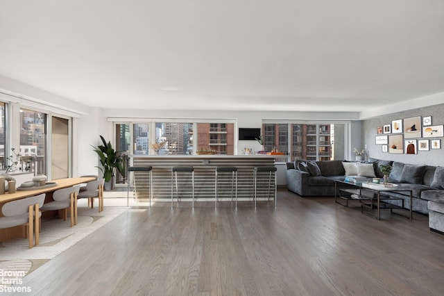 living room featuring wood-type flooring and bar