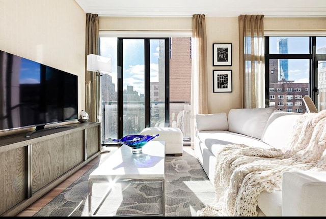 living area featuring a view of city and wood finished floors