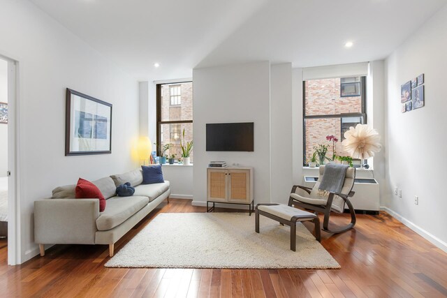 living room featuring hardwood / wood-style flooring