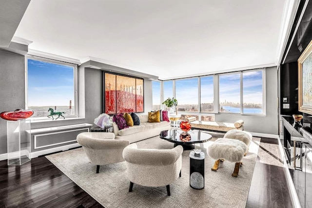 living room with dark wood-style floors, a wealth of natural light, and baseboards