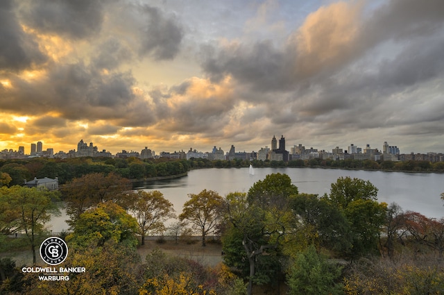 water view with a skyline view