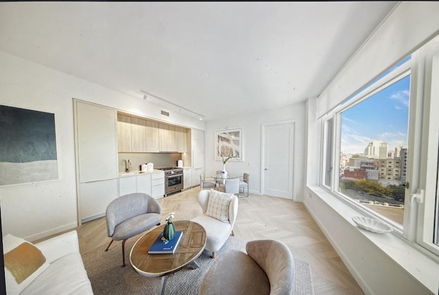 living room featuring light parquet floors, sink, and track lighting