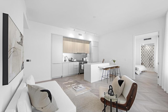 living room featuring track lighting, light parquet flooring, and sink