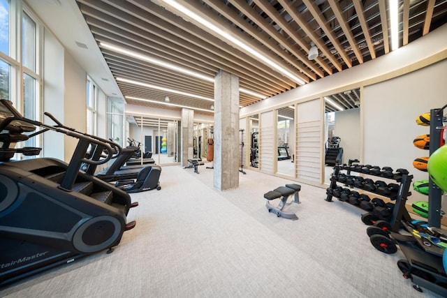 workout area with carpet floors