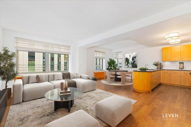 100 W 58th St Unit 11Ab, New York City, NY 10019 - living room with light wood finished floors