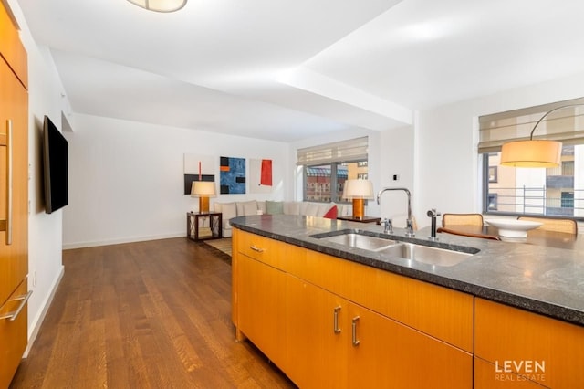 kitchen with dark hardwood / wood-style flooring, sink, a wealth of natural light, and dark stone counters