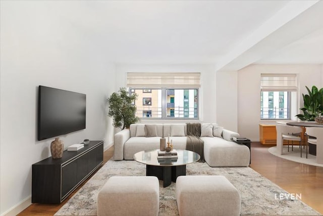 living area featuring baseboards and wood finished floors