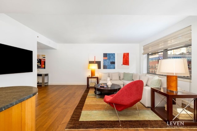 living room with hardwood / wood-style floors