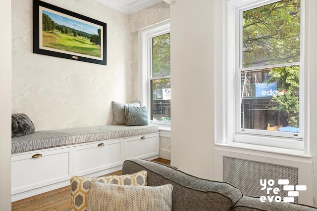 sitting room featuring crown molding, wood finished floors, and radiator