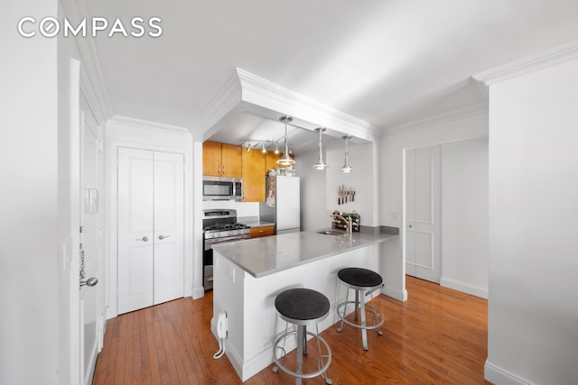 kitchen featuring light wood finished floors, stainless steel appliances, pendant lighting, crown molding, and a kitchen breakfast bar