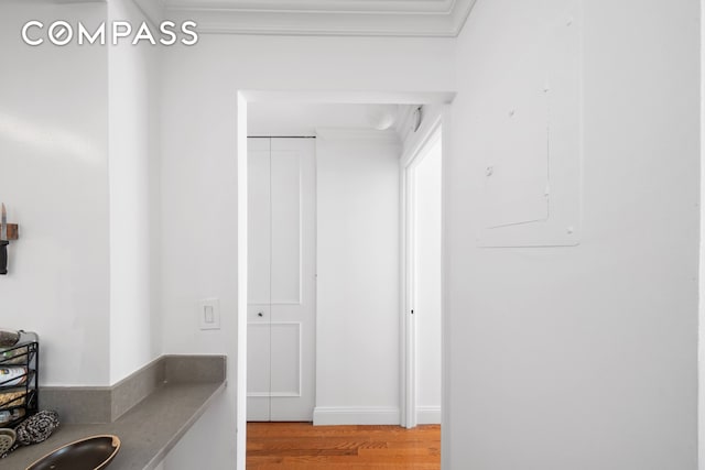 corridor featuring electric panel, wood finished floors, and ornamental molding