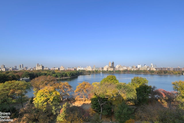 property view of water featuring a view of city