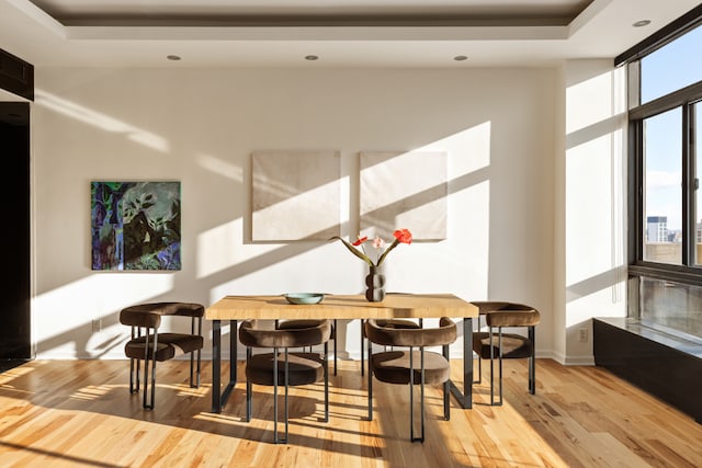 interior space featuring light wood-type flooring, floor to ceiling windows, and a raised ceiling