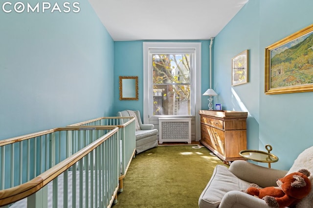 carpeted bedroom with a crib and radiator heating unit