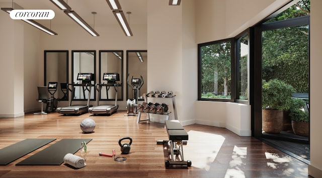 gym with a healthy amount of sunlight, baseboards, and wood finished floors