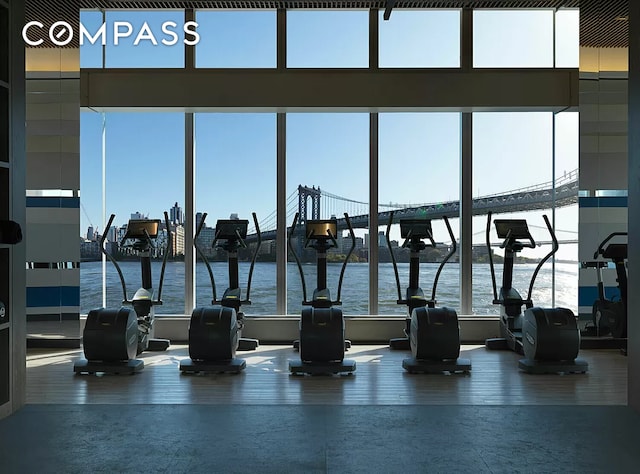 exercise room with a water view and a wealth of natural light