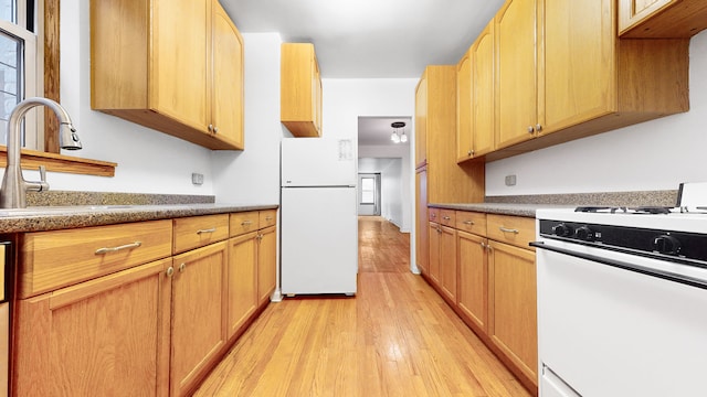 kitchen with a sink, white appliances, light wood-style floors, and a wealth of natural light