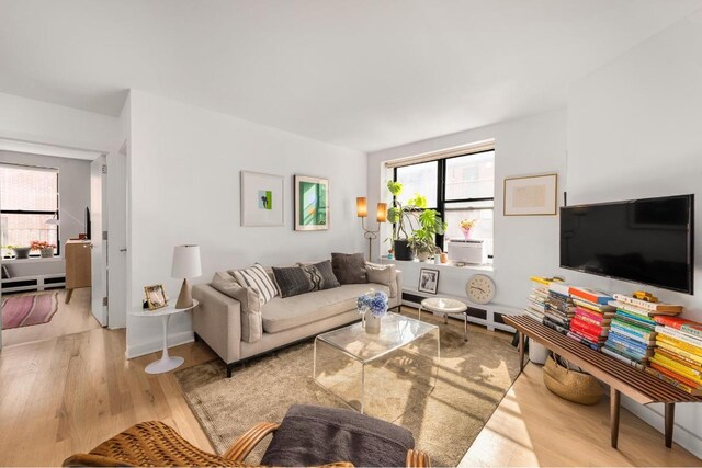 living room featuring light hardwood / wood-style flooring