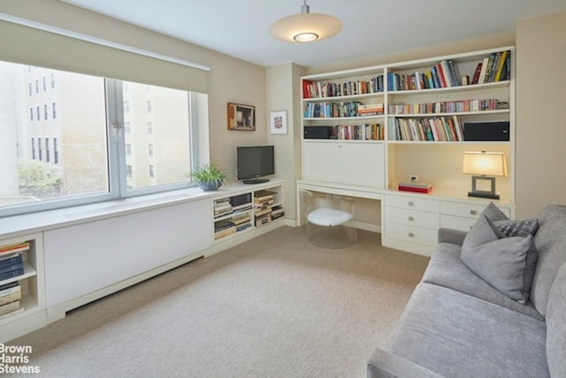 living area featuring light colored carpet