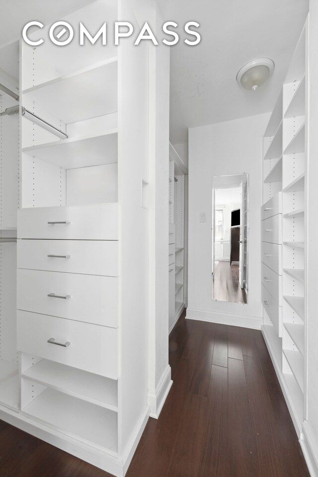 walk in closet featuring wood finished floors