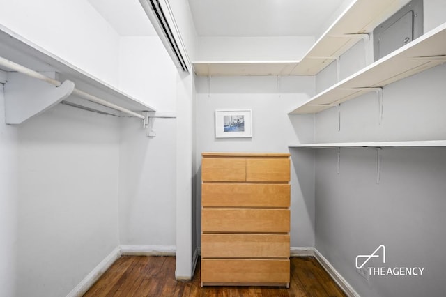 spacious closet featuring dark hardwood / wood-style floors