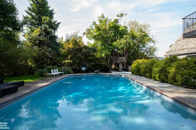 800 W 231st St, New York City, NY 10463 - outdoor pool with view of scattered trees