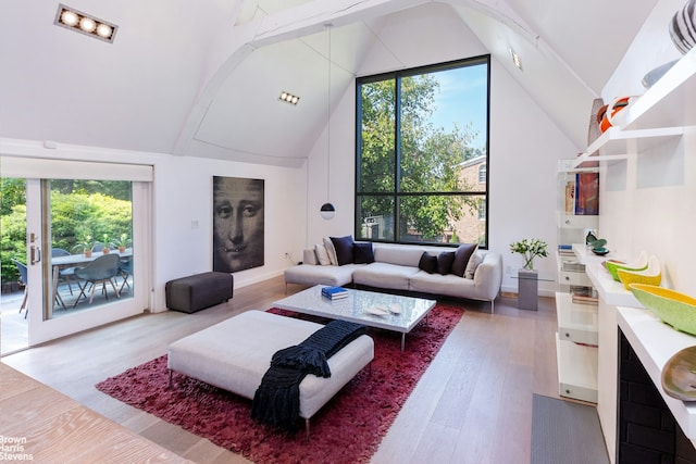 living area featuring high vaulted ceiling, a wealth of natural light, and wood finished floors