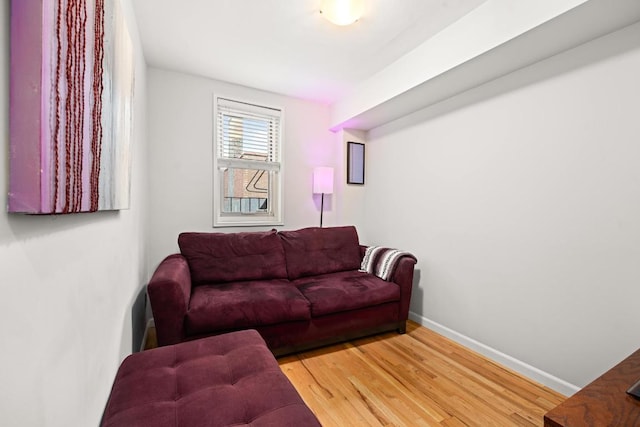 living room with wood-type flooring